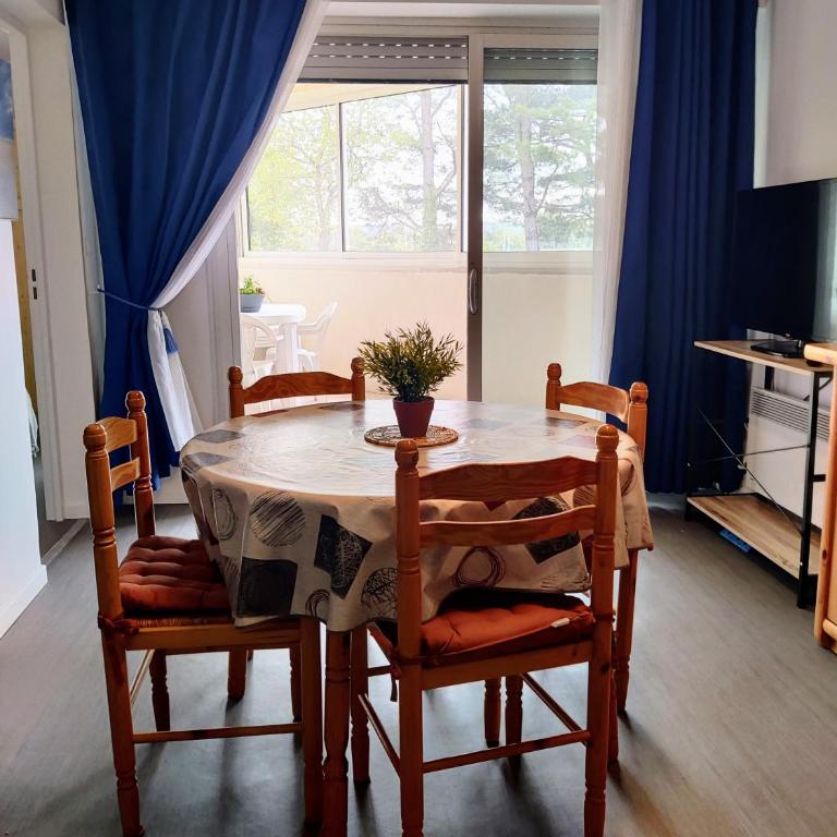 Spacieux appartement refait à NEUF - 4 pers - vue sur l'hippodrome - Apartamento de 1 dormitorio con balcón - 14