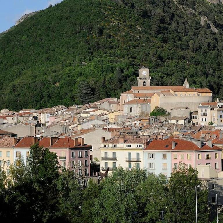 Charmant studio vue montagne - Appartement 1 Chambre - 10