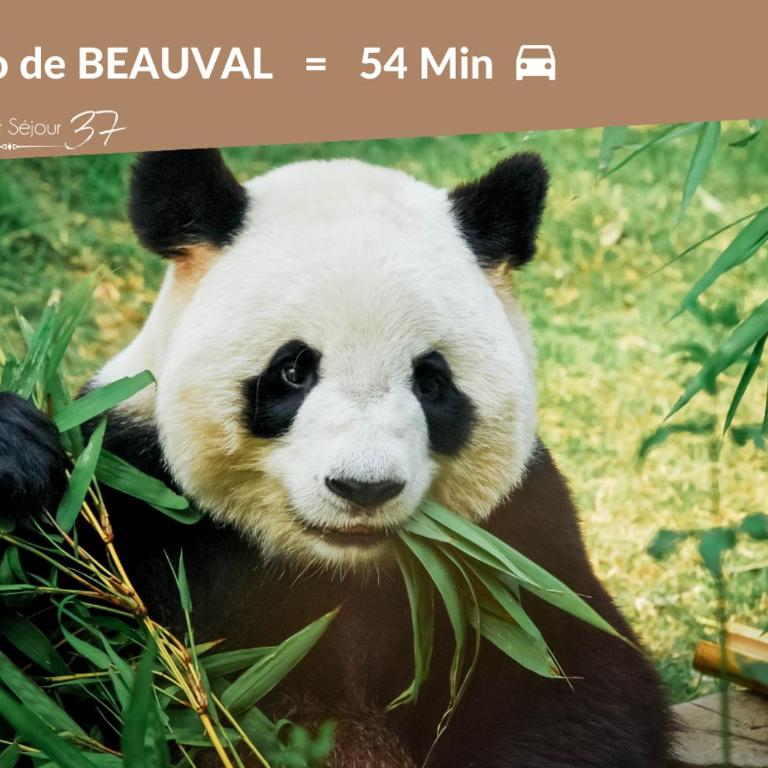 Top Central Tours - Vue Basilique Saint Martin - Apartamento de 2 dormitorios - 37