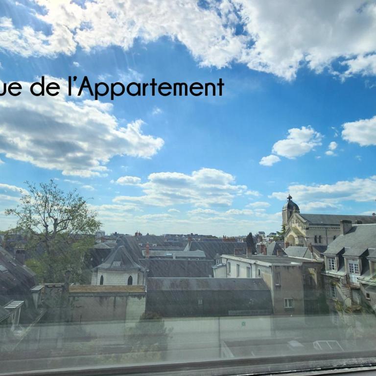 Top Central Tours - Vue Basilique Saint Martin - Apartamento de 2 dormitorios - 23