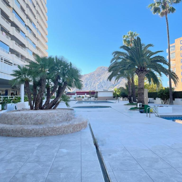Esmeralda Minerva Primera Línea Fossa- Levante Beach - One-Bedroom Apartment - 21
