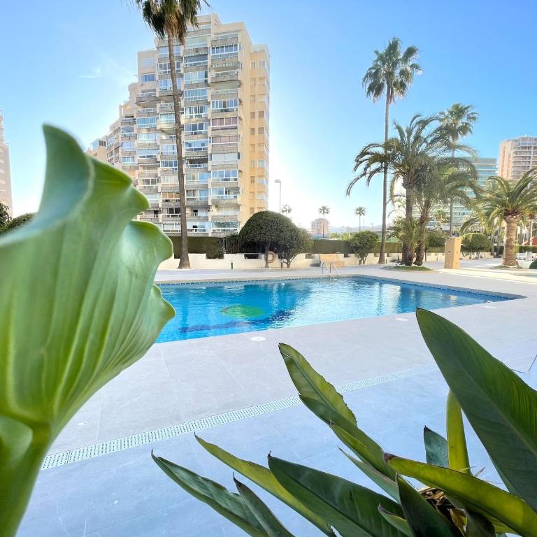 Esmeralda Minerva Primera Línea Fossa- Levante Beach - One-Bedroom Apartment - 19