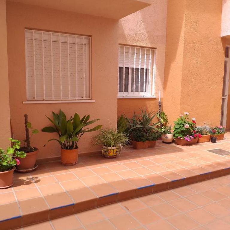 L’appartement du sable blanc - Apartamento de 2 dormitorios - 7