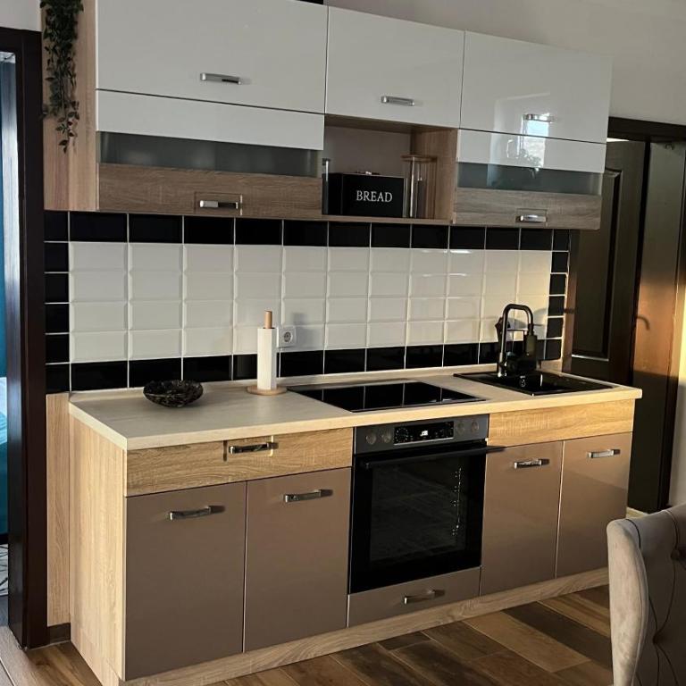 Airport SKY apartments LUX - Apartman sa 2 Spavaće Sobe - 4