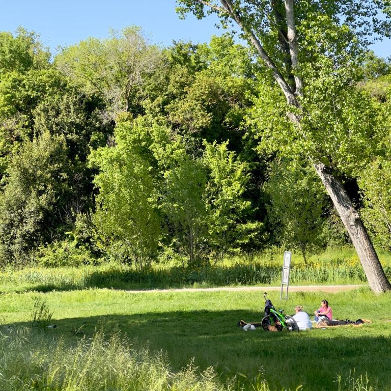 Olimpia Villa Pamphili - Centro Storico di Roma - Gianicolo Trastevere San Pietro - Appartamento con 2 Camere da Letto - 30