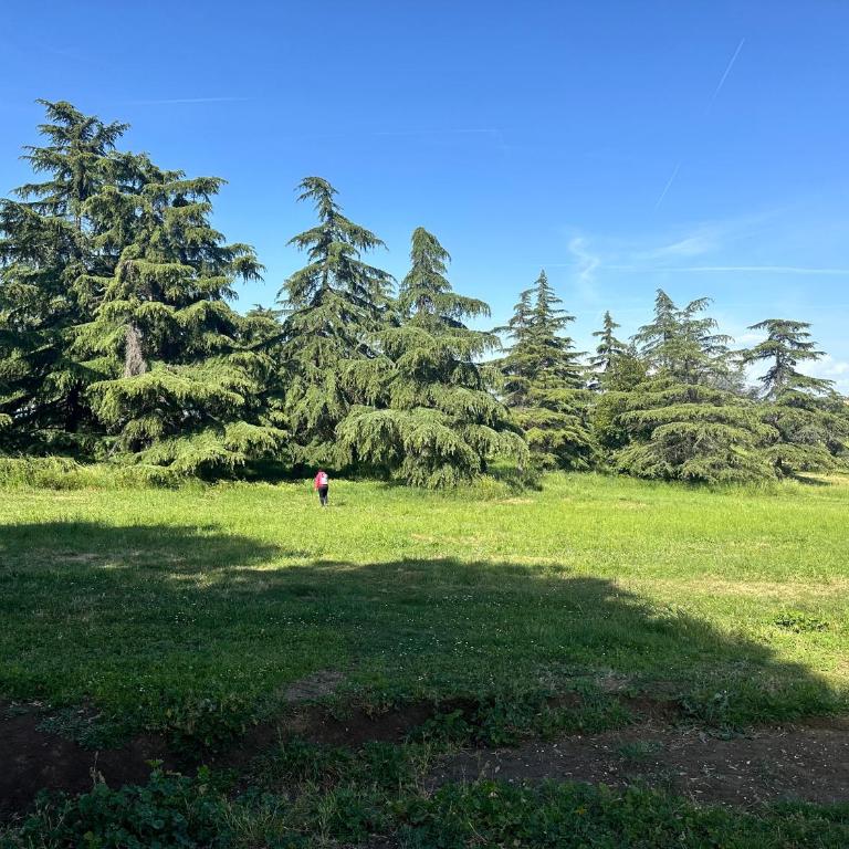 Olimpia Villa Pamphili - Centro Storico di Roma - Gianicolo Trastevere San Pietro - Appartamento con 2 Camere da Letto - 86