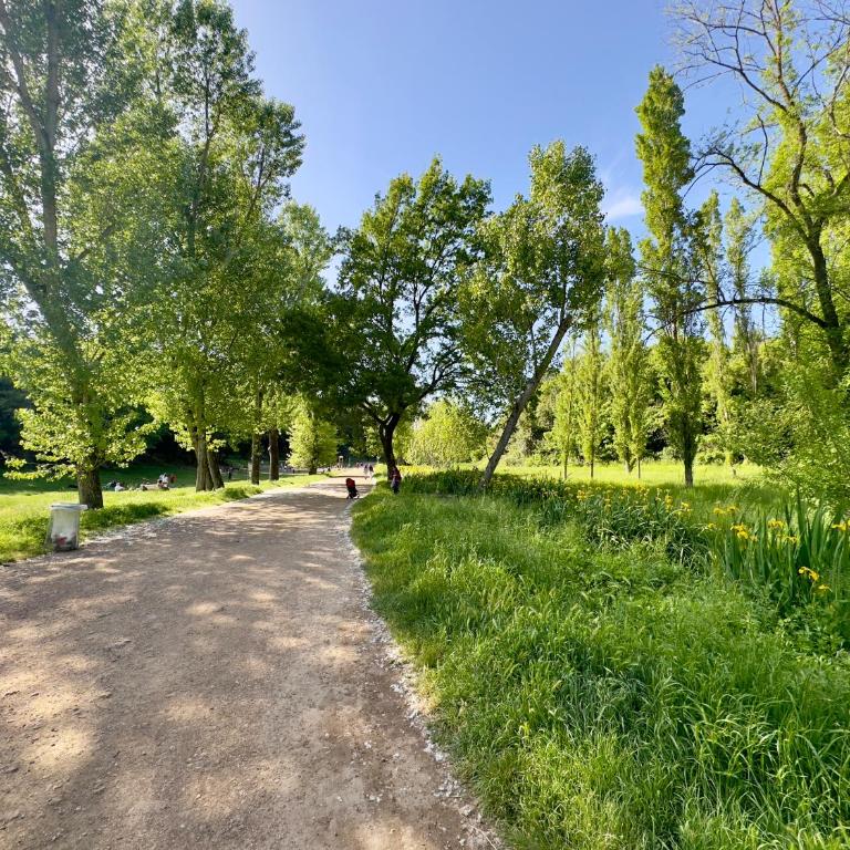 Olimpia Villa Pamphili - Centro Storico di Roma - Gianicolo Trastevere San Pietro - Appartamento con 2 Camere da Letto - 35
