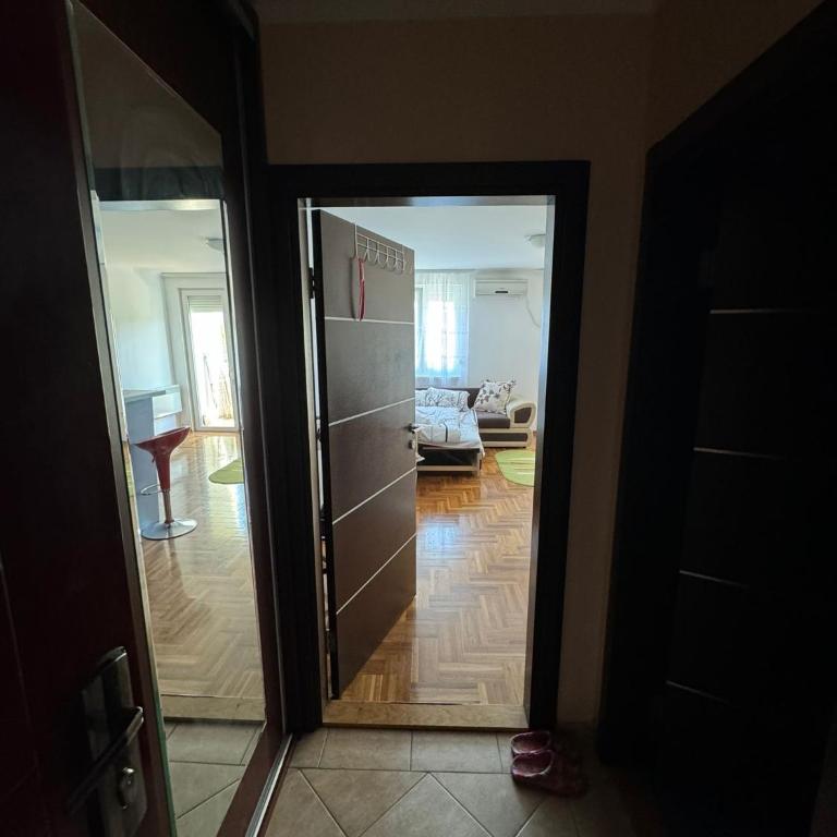 Aleksandrovic Apartman - Apartman sa 1 Spavaćom Sobom - 7