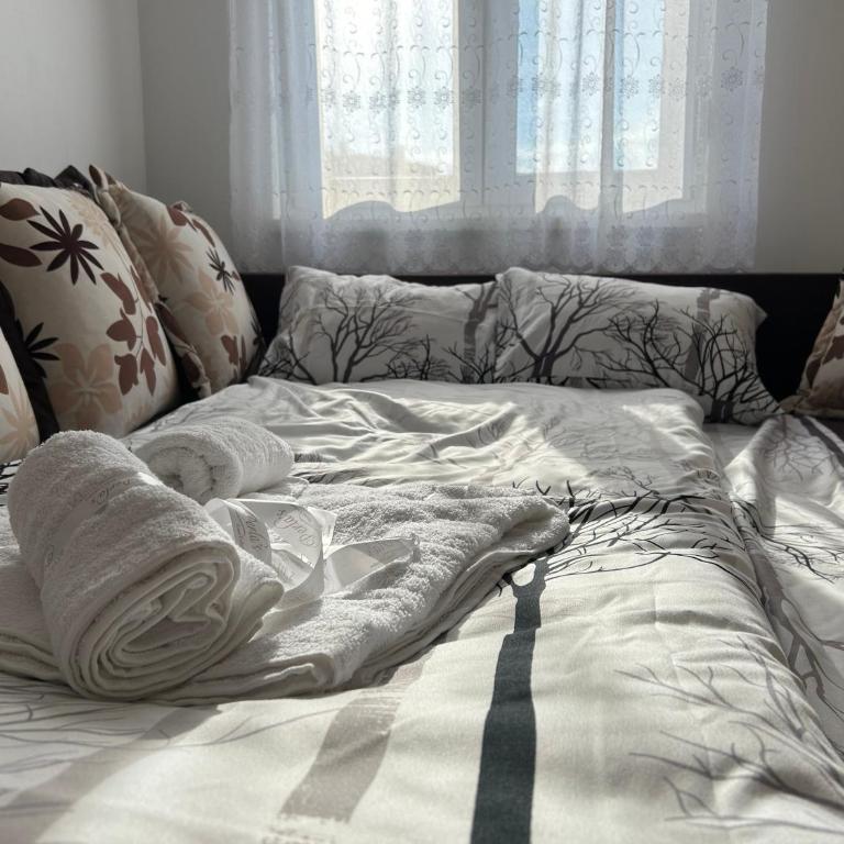 Aleksandrovic Apartman - Apartman sa 1 Spavaćom Sobom - 10
