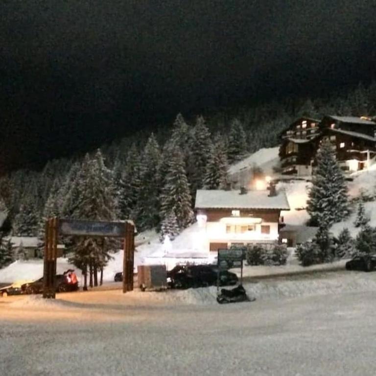 La cabane d'en haut - Appartement 1 Chambre - 4