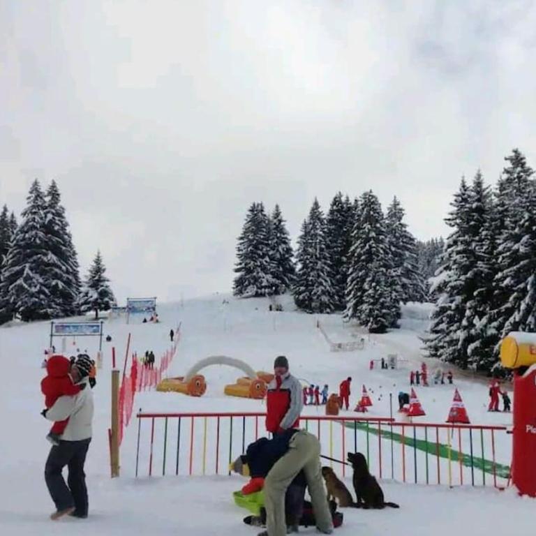 La cabane d'en haut - Appartement 1 Chambre - 9