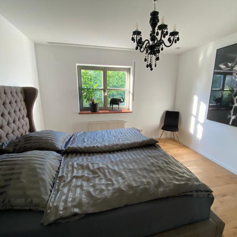 Wohnen in Weinbergsnähe - Apartment mit 1 Schlafzimmer - 7