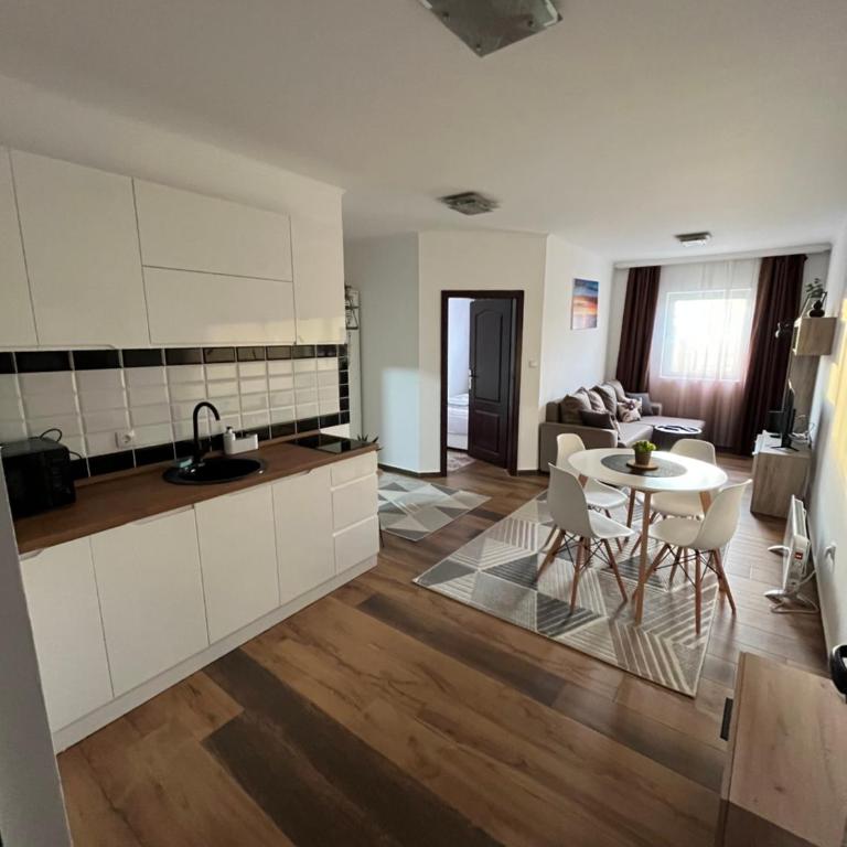 Airport SKY apartments LUX - Apartman sa 1 Spavaćom Sobom - 1