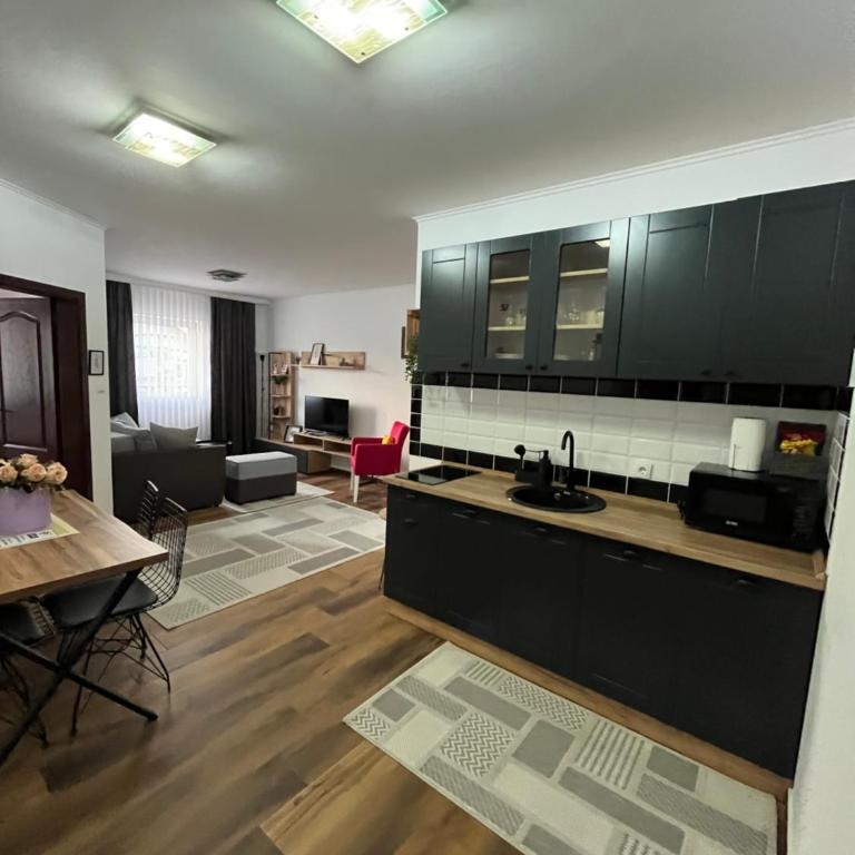 Airport SKY apartments LUX - Apartman sa 1 Spavaćom Sobom - 4