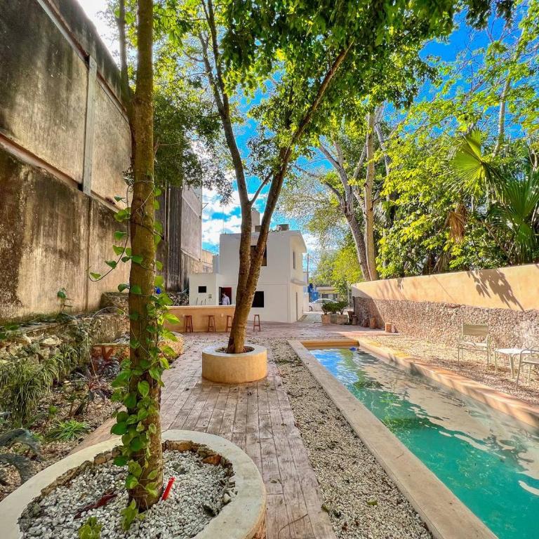 Casa Xaan - Paraiso en Valladolid - Five-Bedroom House - 1