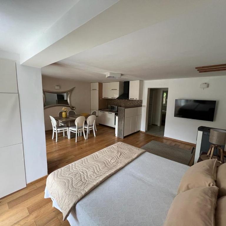 Apartments Villa Jovovic - Apartman sa Terasom - 8