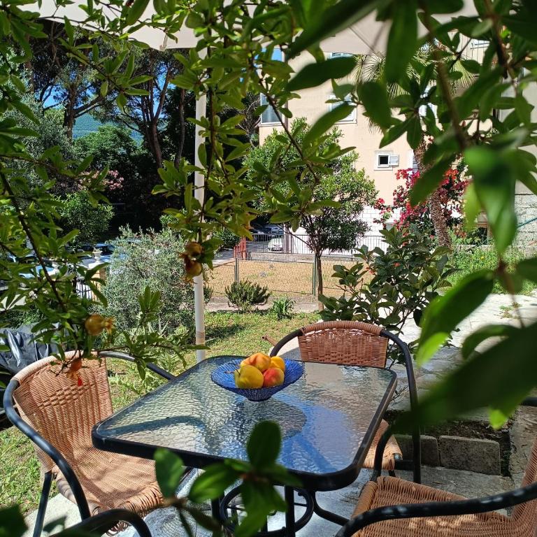 Apartmani TOPLA Zloković -A2 - Apartman s 1 Spavaćom Sobom i Terasom - 2