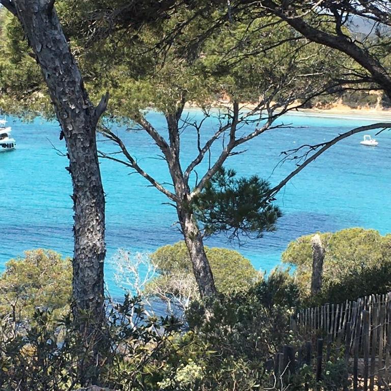 Appartement T3 lumineux traversant totalement neuf en face de la plage Front de mer vue sur les iles Vue mer panoramique assurée Résidence de la plage centre ville du Lavandou 3eme étage avec ascenseur Appartement T3 - Apartment mit 2 Schlafzimmern - 40