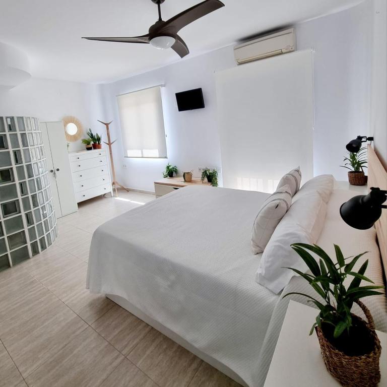 Adosadito Playa Oliva - Apartamento de 1 dormitorio - 14