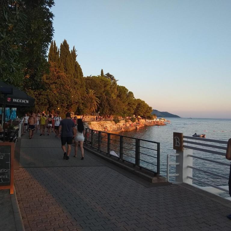 Apartmani TOPLA Zloković -A2 - Apartman s 1 Spavaćom Sobom i Terasom - 8