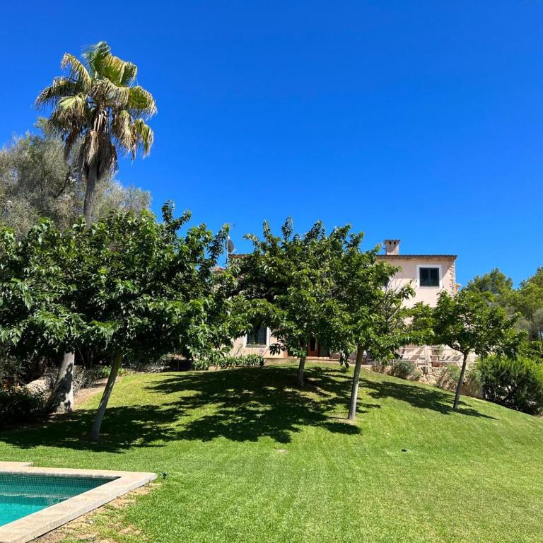 Finca Porto Cristo - Es Bosquet - Casa de 3 dormitorios - 45