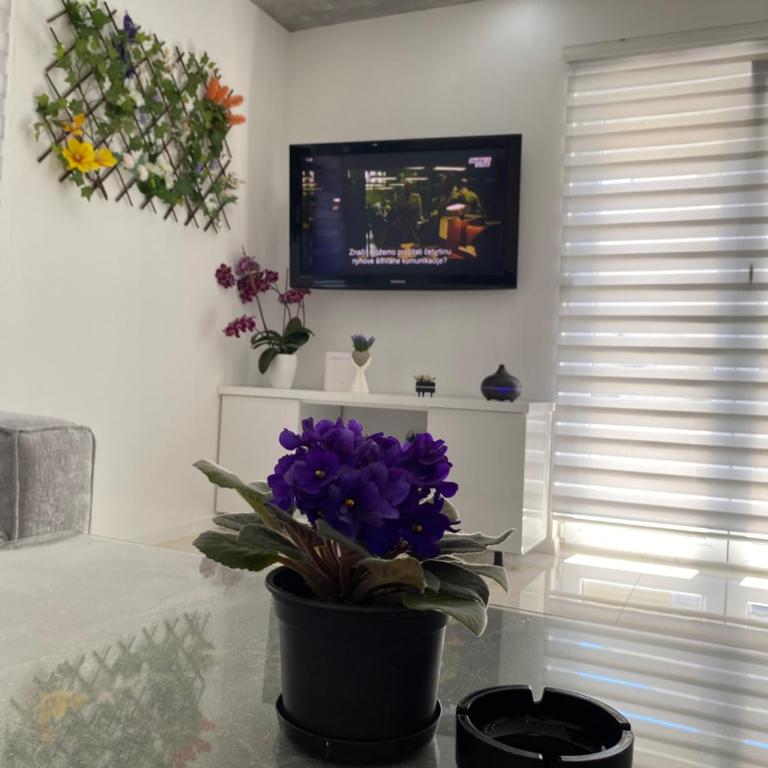 Apartman Pranić Mostar - Two-Bedroom Apartment with Terrace - 30