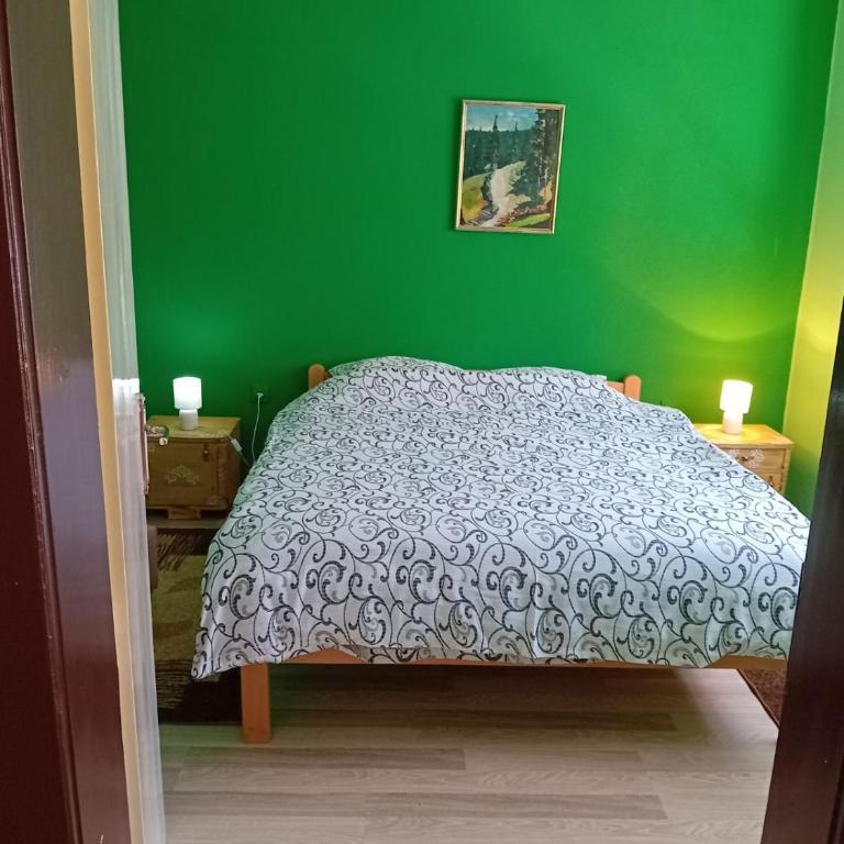 Smeštaj Vesna - Apartman sa 2 Spavaće Sobe - 12