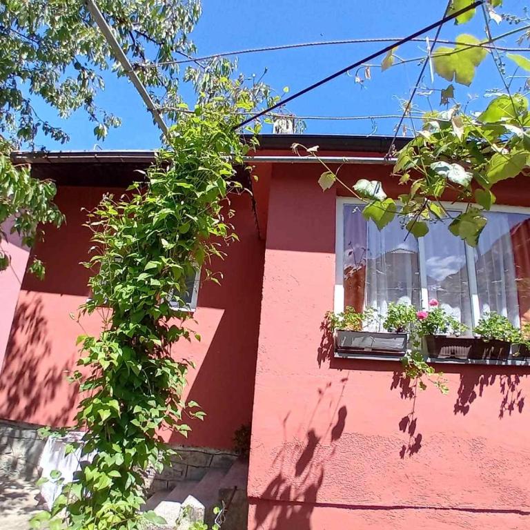 Smeštaj Vesna - Apartman sa 2 Spavaće Sobe - 13