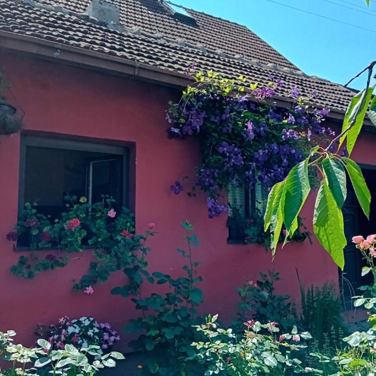 Smeštaj Vesna - Apartman sa 2 Spavaće Sobe - 19