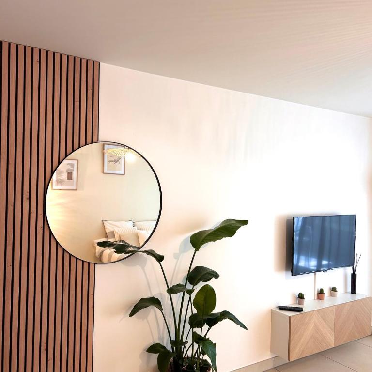 Studio NEUF - PORTES DE MONACO - Confort - Wifi - Clim - Appartement 1 Chambre - 6