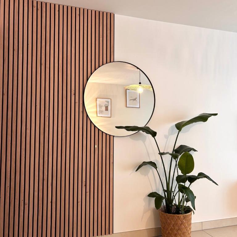 Studio NEUF - PORTES DE MONACO - Confort - Wifi - Clim - Appartement 1 Chambre - 28
