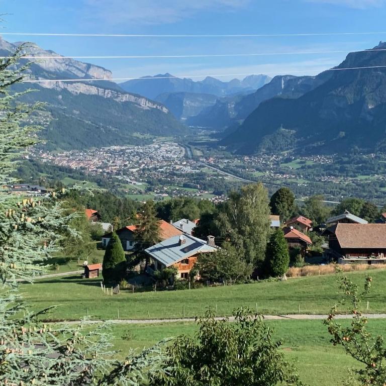 Chalet de la buche croisée - Appartement avec Vue sur la Montagne - 31