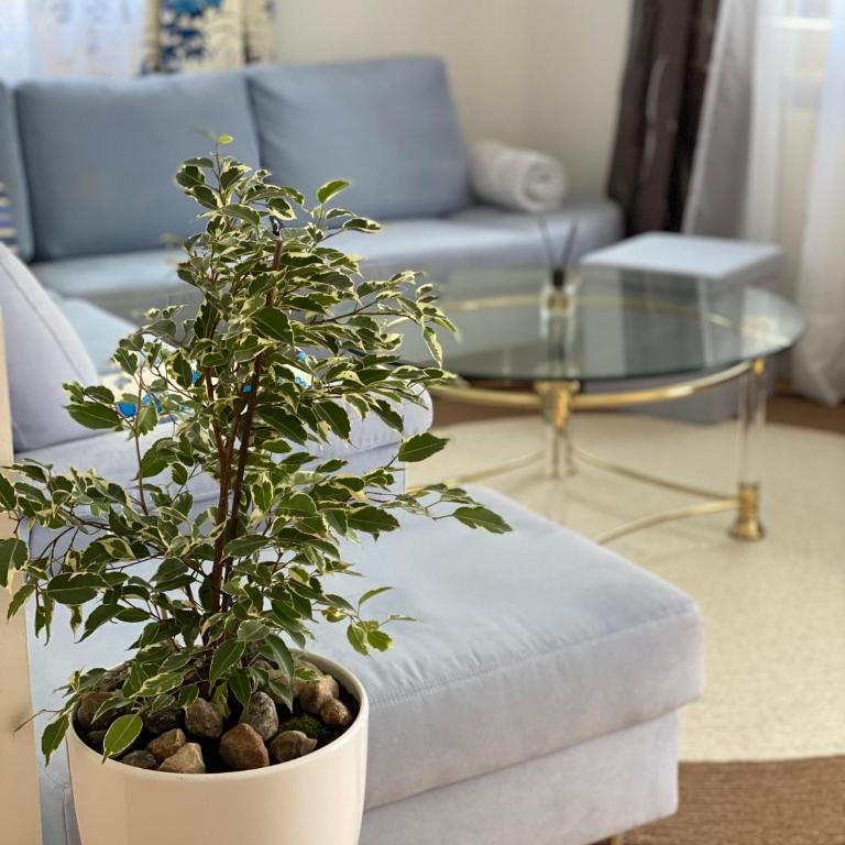 Schöne Wohnung in der Altstadt - Apartment mit 1 Schlafzimmer - 4