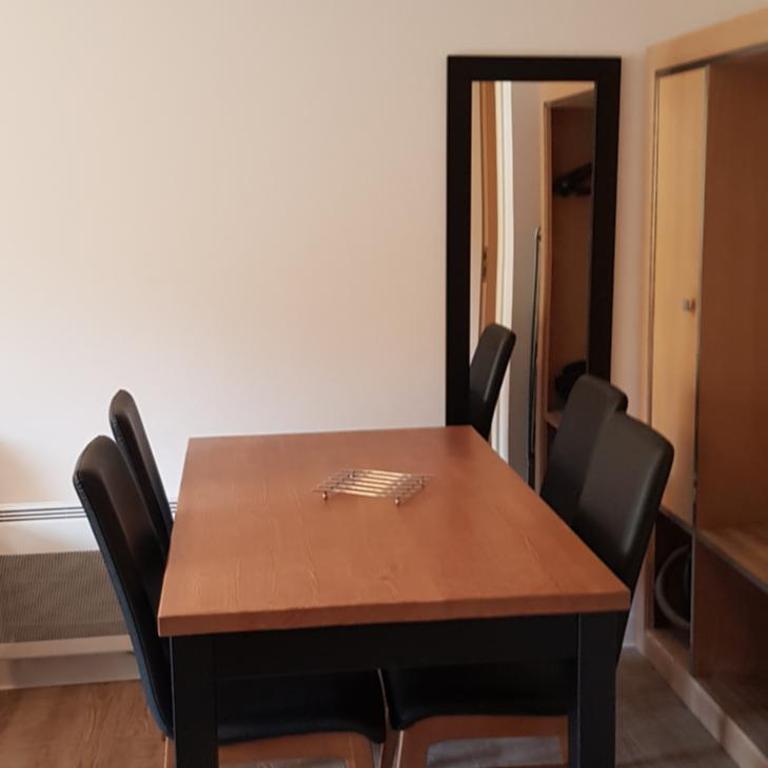 Neige et confort - Appartement - 9