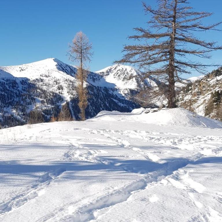 Neige et confort - Appartement - 5