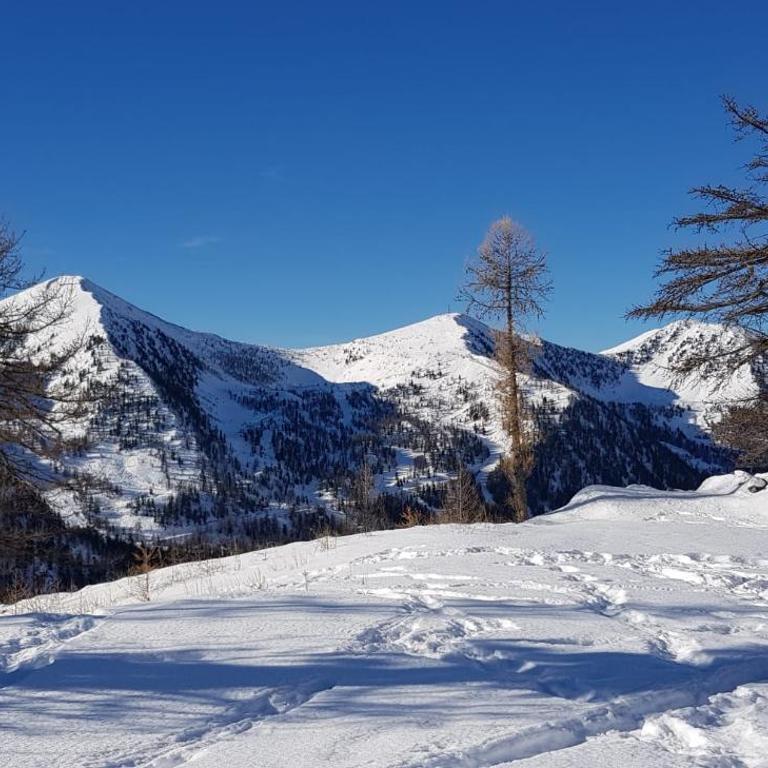 Neige et confort - Appartement - 17