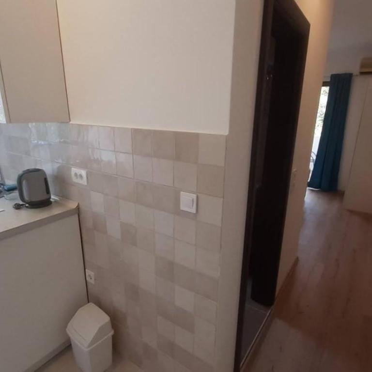 Guest house Mia Becici - Sobe i Apartmani - Studio Apartment with Balcony - 5
