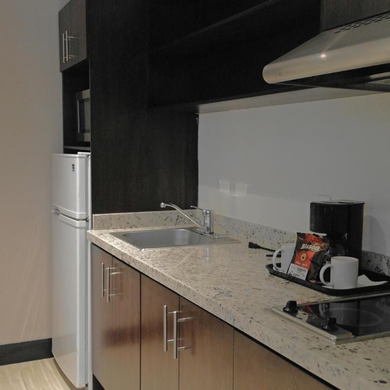 Áurea Hotel and Suites - Suite Doble Estándar - 2