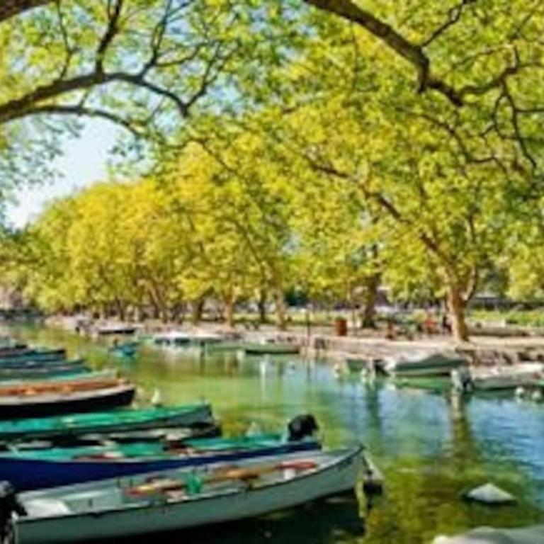 Appart cosy Annecy parking et vélos gratuit - Apartamento de 1 dormitorio - 29