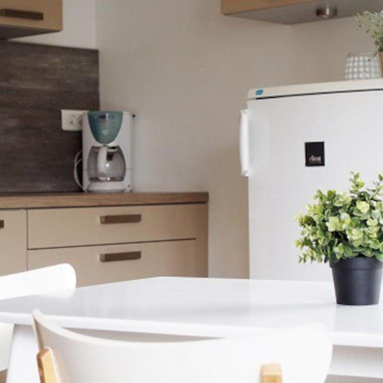 Appart cosy Annecy parking et vélos gratuit - Apartamento de 1 dormitorio - 14
