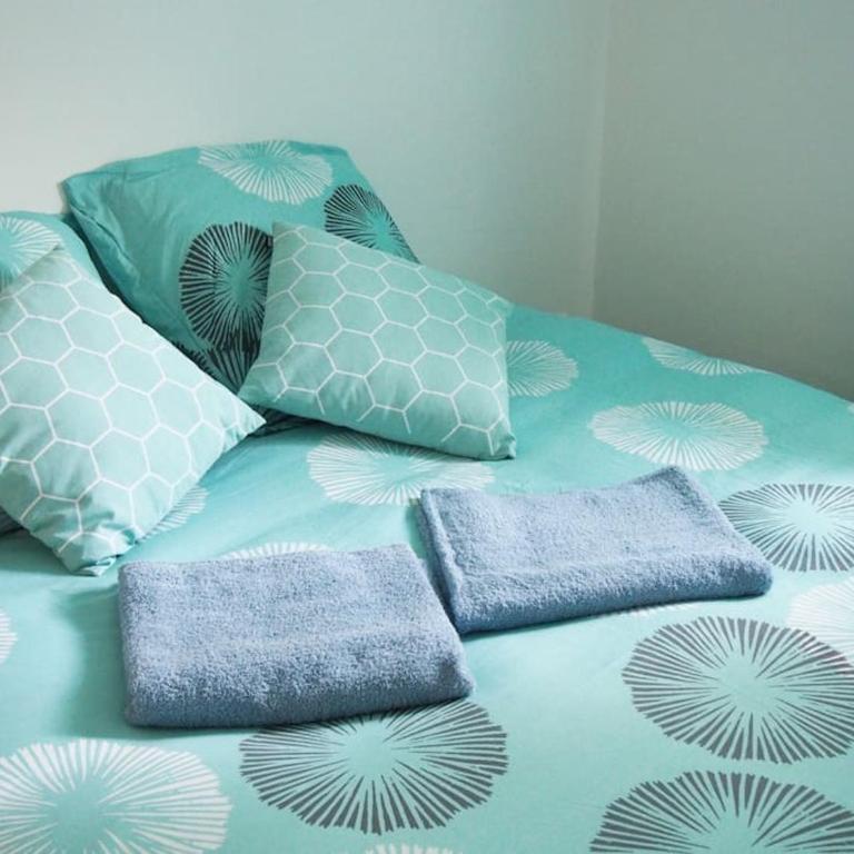 Appart cosy Annecy parking et vélos gratuit - Apartamento de 1 dormitorio - 20