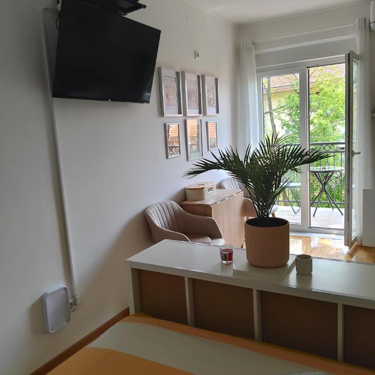 Studio SIESTA - Apartman sa 1 Spavaćom Sobom - 3