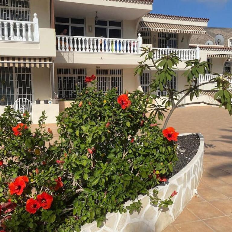 Princesa Dacil MembrilloSuites Collection - Apartamento de 2 dormitorios - 20