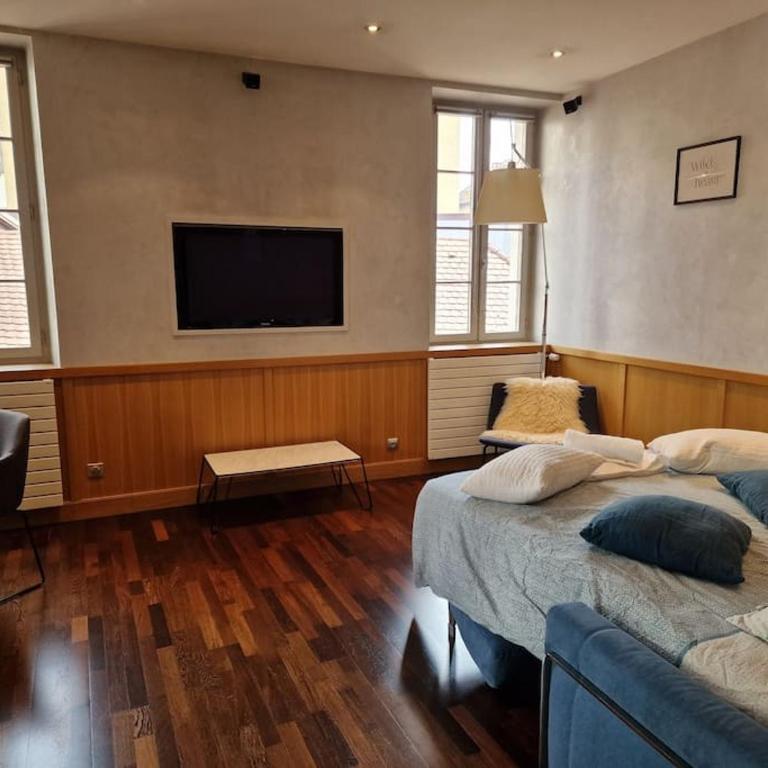Appartement Annecy centre historique parking réservé - One-Bedroom Apartment - 6