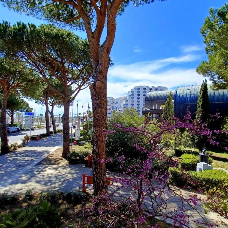 Studio tout équipé vue sur Port - Appartamento con 1 Camera da Letto - 6