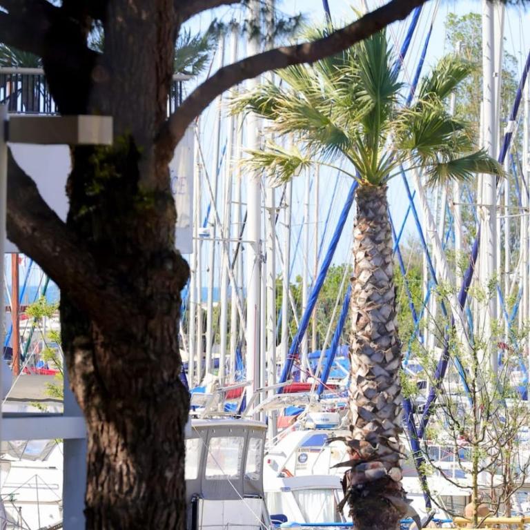 Studio tout équipé vue sur Port - Appartamento con 1 Camera da Letto - 11