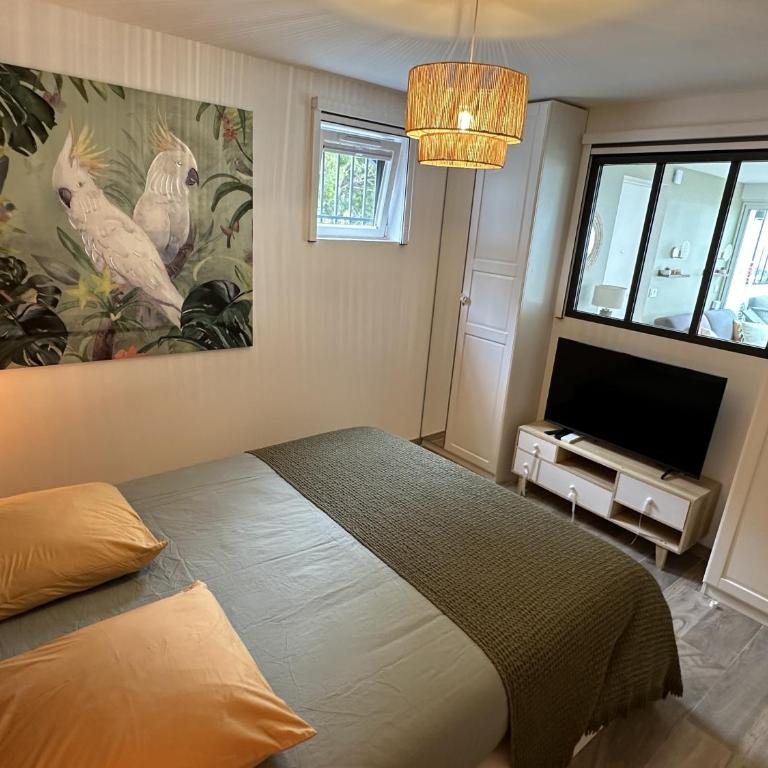 Les Katikias - Appartement 1 Chambre avec Terrasse - 28