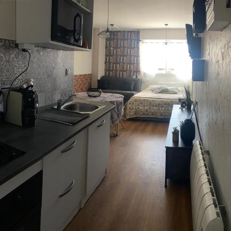 Jolie studio Saint CYPRIEN 100m de la plage commerce et animation - One-Bedroom Apartment - 4