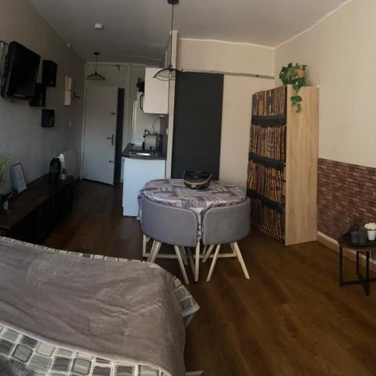 Jolie studio Saint CYPRIEN 100m de la plage commerce et animation - One-Bedroom Apartment - 8