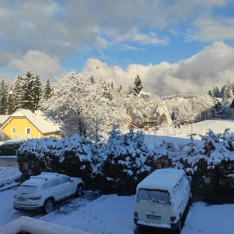 Alpenblick Apartment - Apartment mit 1 Schlafzimmer - 15